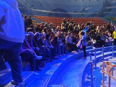 -烟台海昌鲸鲨海洋公园