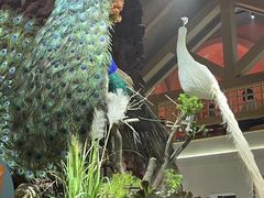 -寻滇记云南鲜牛肉火锅(北海路店)