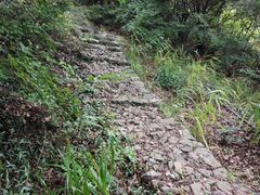 -宁波市保国寺古建筑博物馆