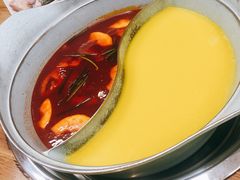 -青瓷火锅料理(西单大悦城店)