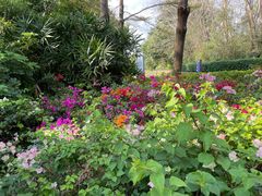 -深圳国际园林花卉博览园