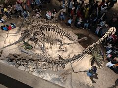 -自贡恐龙博物馆