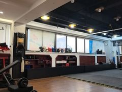 -温鉴良实用咏春拳