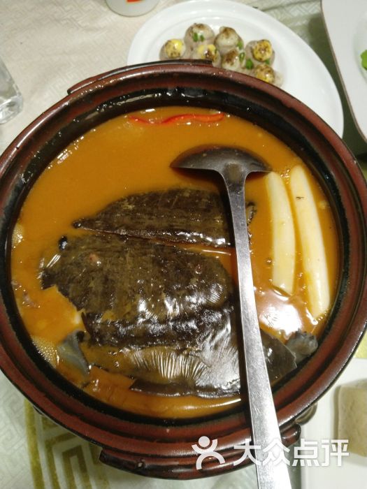 潇湘甲鱼村(北苑店)红煨甲鱼图片 - 第3张