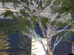 -东莞松山湖万象汇