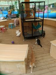 -萌宠亲子动物乐园(槐房万达店)