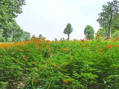 -钟山体育运动公园