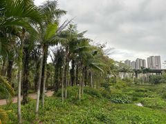 -中澳友谊花园