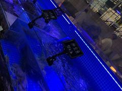 -渔民船说·北塘海鲜·天津菜·海肠捞饭(北塘古镇店)