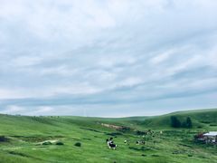 -莫日格勒旅游景区