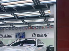 -鲨鱼皮汽车凹陷玻璃修复(静安店)