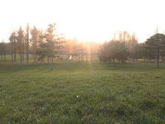 -石家庄市植物园