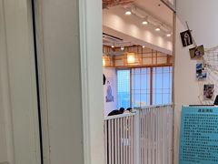 -Let's go狗咖·猫咖·奶狗·桌游(春熙路IFS店)