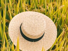 -广富林郊野公园