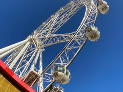 -墨尔本之星 观景摩天轮