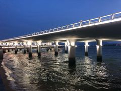 -演武大桥观景平台