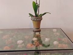 -北平花园·MUA摩造汉堡·北平咖啡(南锣鼓巷胡同店)