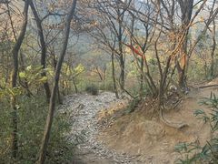 -灵岩山风景区