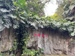 -广州兰圃
