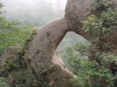 -六里坪国家森林公园