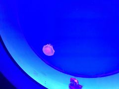 -福州罗源湾海洋世界旅游区