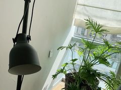 -水边咖啡(黄金水岸店)