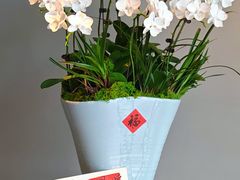 -若蘭慈·无国界素食料理(欢乐海岸店)
