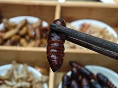-昆虫窝子·特色云南菜(拓东路总店)