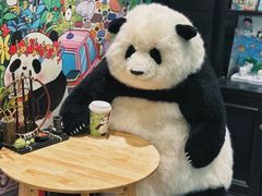 -成都大熊猫繁育研究基地