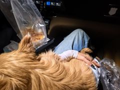 -枫花园汽车电影院(朝阳公园店)