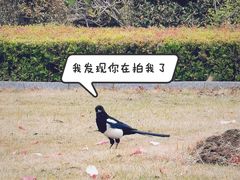 -白塘生态植物园