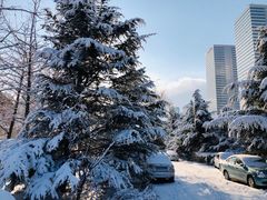 -海创大连科技交流中心(海事大学地铁站店)