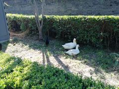 -Tubestation站点比萨(五道营店)