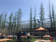 -前小桔亲子创意农场·草莓采摘·露营烧烤