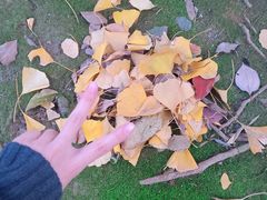 -苏州河梦清园环保主题公园