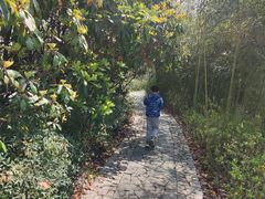 -苏州太湖国家湿地公园