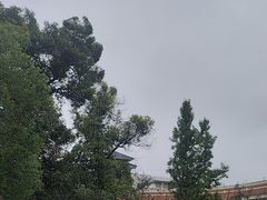-四川大学(望江校区)