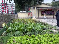 -湘力力小院·鱼汤泡饭(枫林路店)