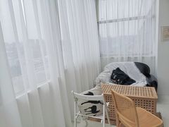 -CAKE WANG千层制造所(省府店)