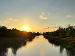 -上海滨江森林公园