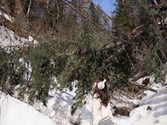 -峡谷浮石林景区