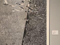 -江苏省美术馆(长江路新馆)