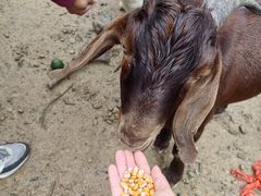 -北仑森林植物园