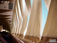 板长寿司-板长寿司(海港城店)