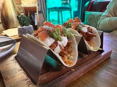 -Famous肥猫墨西哥音乐餐吧(五棵松华熙LIVE店)