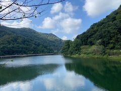 -桃花岭景区