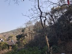 -杭州西湖风景名胜区-三生石