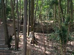 -黔灵山公园