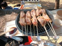 -南国桃园旅游度假区