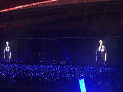 -南京奥林匹克体育中心-体育馆